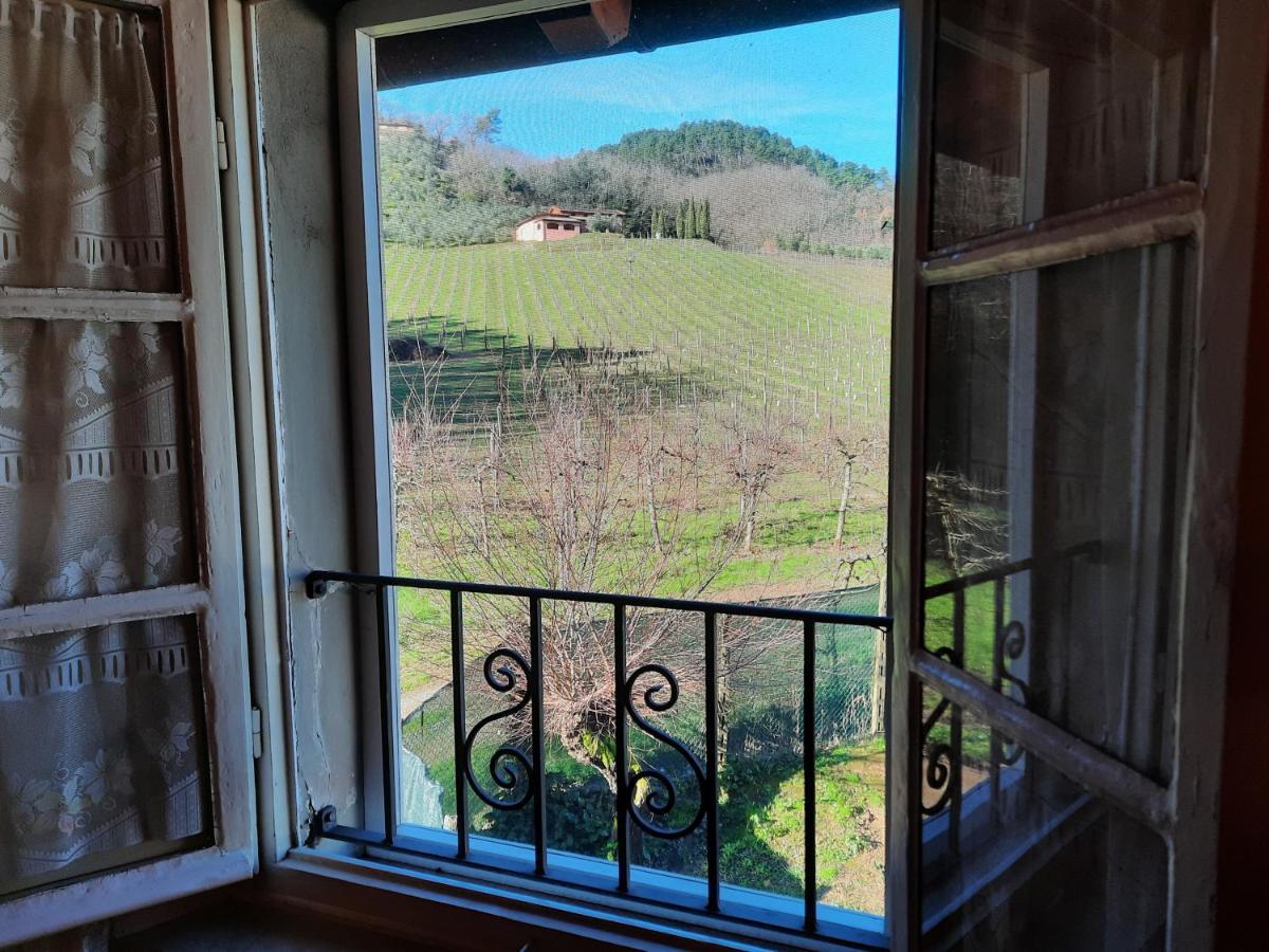 Agriturismo Tenuta Adamo ルッカ エクステリア 写真