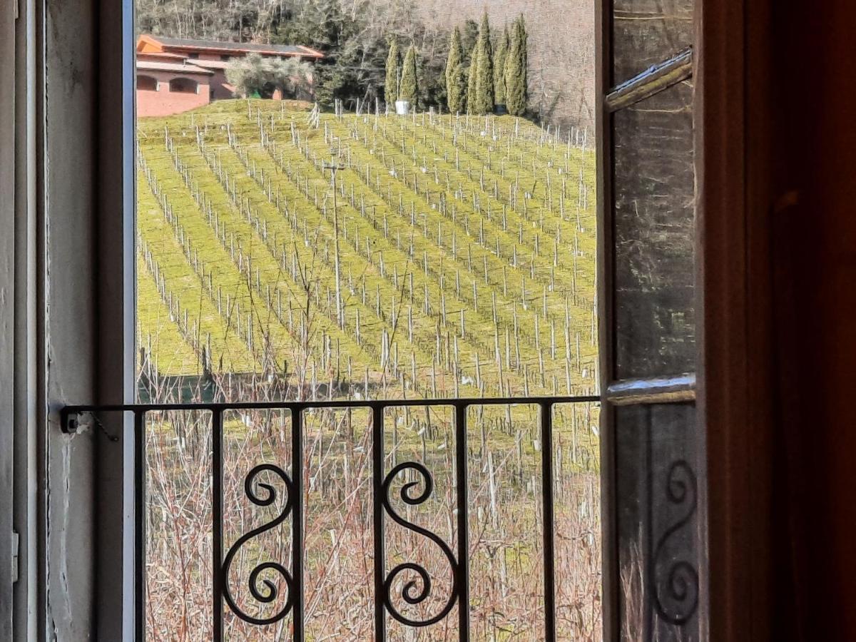 Agriturismo Tenuta Adamo ルッカ エクステリア 写真