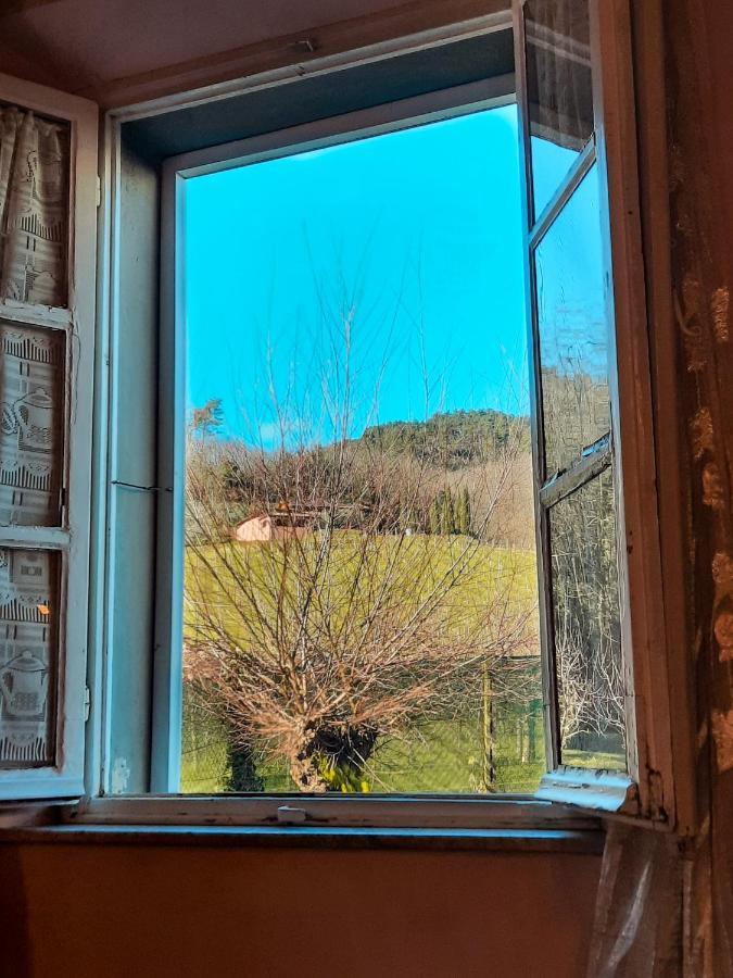 Agriturismo Tenuta Adamo ルッカ エクステリア 写真