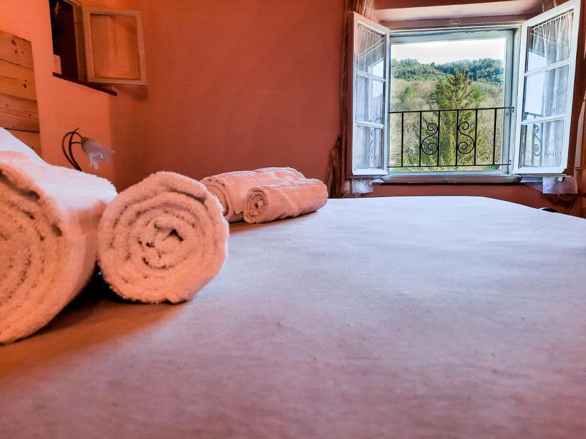Agriturismo Tenuta Adamo ルッカ エクステリア 写真